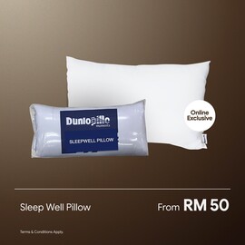 Sleep Well Pillow
